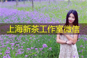 上海后花园异域风情大集结，让你穿越时空感受全新体验！