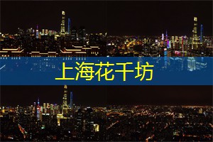 在这个拥有无数摩天大楼、霓虹灯闪耀的城市中